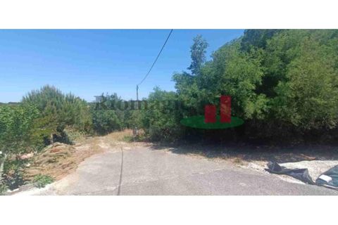 Helårsgrund i Coruche, Santarem, Coruche - € 27.200 | Ref: 766.23 - foto 1