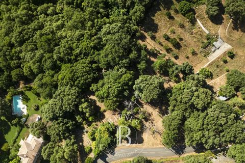 Terra a Bastia, Haute-Corse, Bastia - € 560.000 | Ref: RV1891 - foto 3
