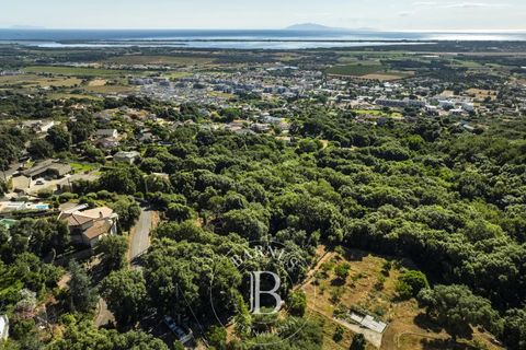 Terra a Bastia, Haute-Corse, Bastia - € 560.000 | Ref: RV1891 - foto 4