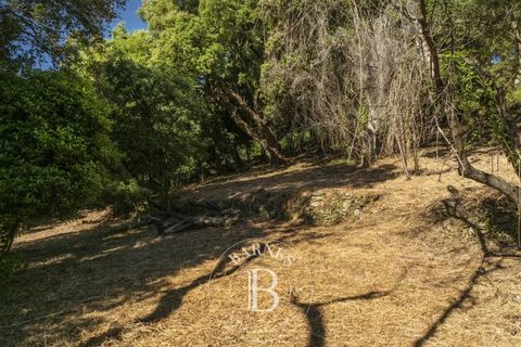 Terra a Bastia, Haute-Corse, Bastia - € 560.000 | Ref: RV1891 - foto 6
