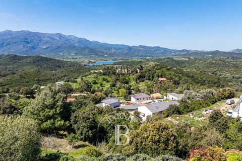 Haus in Saint-Florent, Haute-Corse, Saint-Florent - € 2.520.000 | Ref: RV1786 - Foto 15
