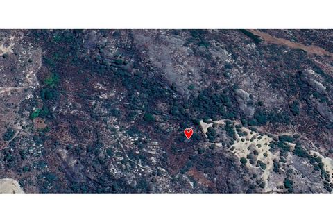 Helårsgrund i Almeida, Guarda, Almeida - € 28.000 | Ref: Max-180-24 - foto 8
