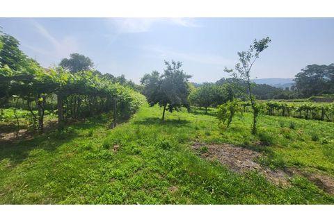 Villa i Ponte de Lima, Viana do Castelo, Ponte de Lima - € 360.000 | Ref: MDS4162 - foto 11