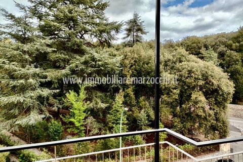 Lejlighed i Siena, Siena, Siena - € 270.000 | Ref: AP2278 - foto 7