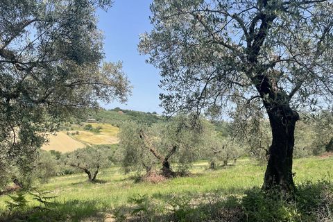 Terra a Narni, Terni, Narni - € 1.950.000 | Ref: CBI057-315-30377 - foto 2