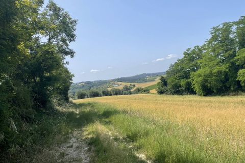 Terra a Narni, Terni, Narni - € 1.950.000 | Ref: CBI057-315-30377 - foto 4