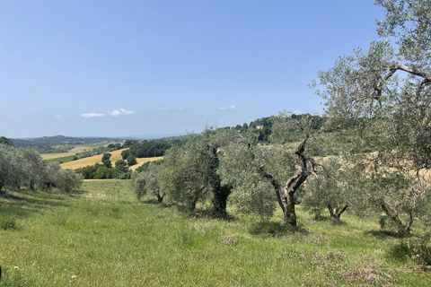 Terra a Narni, Terni, Narni - € 1.950.000 | Ref: CBI057-315-30377 - foto 5