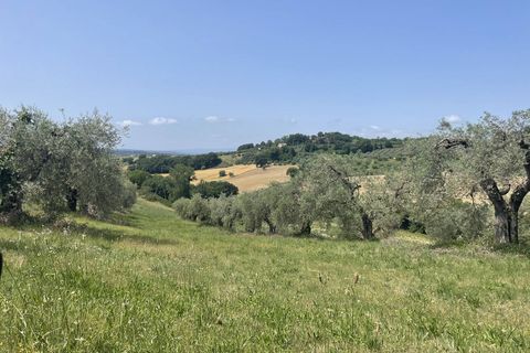 Terra a Narni, Terni, Narni - € 1.950.000 | Ref: CBI057-315-30377 - foto 6