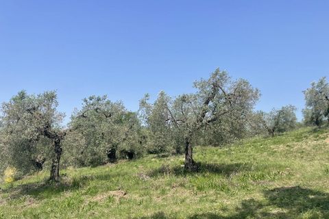Terra a Narni, Terni, Narni - € 1.950.000 | Ref: CBI057-315-30377 - foto 7