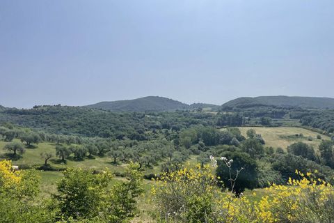 Terra a Narni, Terni, Narni - € 1.950.000 | Ref: CBI057-315-30377 - foto 8