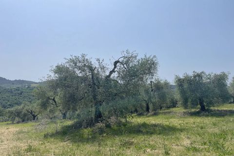 Terra a Narni, Terni, Narni - € 1.950.000 | Ref: CBI057-315-30377 - foto 9