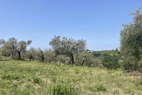 Terra a Narni, Terni, Narni - € 1.950.000 | Ref: CBI057-315-30377 - foto 10