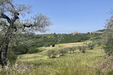 Terra a Narni, Terni, Narni - € 1.950.000 | Ref: CBI057-315-30377 - foto 11