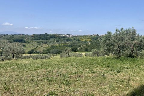 Terra a Narni, Terni, Narni - € 1.950.000 | Ref: CBI057-315-30377 - foto 12