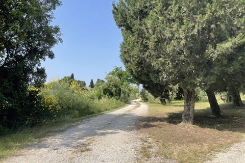 Terra a Narni, Terni, Narni - € 1.950.000 | Ref: CBI057-315-30377 - foto 14