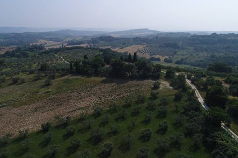 Terra a Narni, Terni, Narni - € 1.950.000 | Ref: CBI057-315-30377 - foto 15