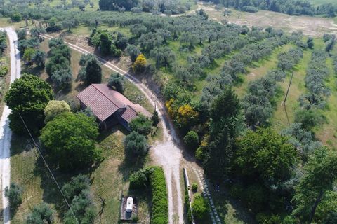 Terra a Narni, Terni, Narni - € 1.950.000 | Ref: CBI057-315-30377 - foto 17