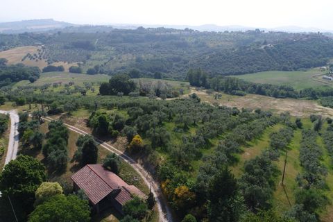 Terra a Narni, Terni, Narni - € 1.950.000 | Ref: CBI057-315-30377 - foto 18