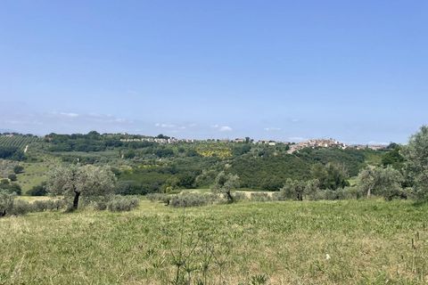 Terra a Narni, Terni, Narni - € 1.950.000 | Ref: CBI057-315-30377 - foto 24