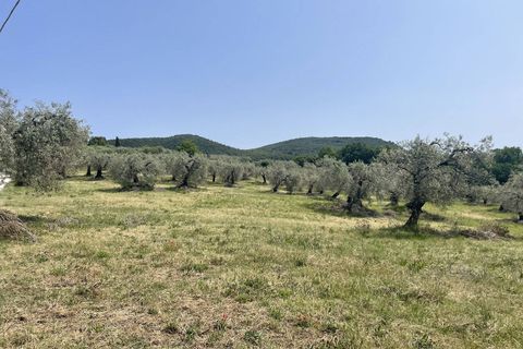 Terra a Narni, Terni, Narni - € 1.950.000 | Ref: CBI057-315-30377 - foto 25
