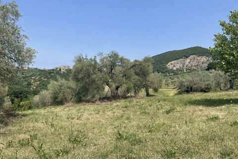 Terra a Narni, Terni, Narni - € 1.950.000 | Ref: CBI057-315-30377 - foto 26