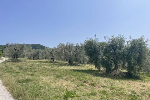 Terra a Narni, Terni, Narni - € 1.950.000 | Ref: CBI057-315-30377 - foto 27