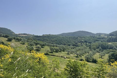 Terra a Narni, Terni, Narni - € 1.950.000 | Ref: CBI057-315-30377 - foto 28