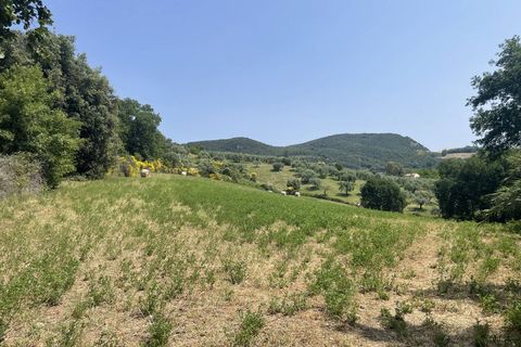 Terra a Narni, Terni, Narni - € 1.950.000 | Ref: CBI057-315-30377 - foto 29