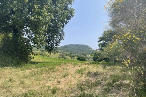 Terra a Narni, Terni, Narni - € 1.950.000 | Ref: CBI057-315-30377 - foto 30