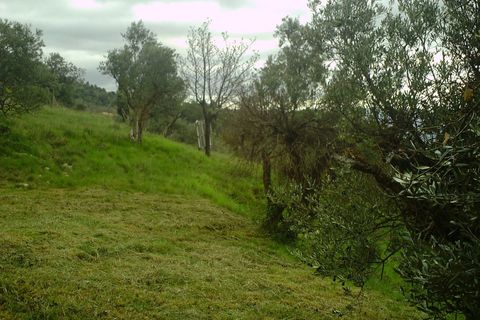 Terra a Mougins, Alpes-Maritimes, Mougins - € 1.590.000 | Ref: 1007160 - foto 2