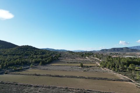 Terra a Monovar, Alicante, Monovar - € 54.950 | Ref: IZI-92723 - foto 8