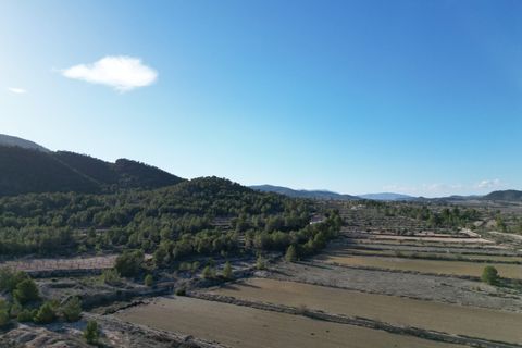 Terra a Monovar, Alicante, Monovar - € 54.950 | Ref: IZI-92723 - foto 9