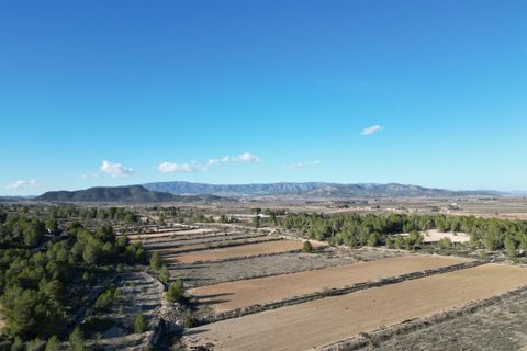 Terra a Monovar, Alicante, Monovar - € 54.950 | Ref: IZI-92723 - foto 10