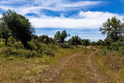 Terra a Borba, Evora, Borba - € 550.000 | Ref: TAPT01-1432_ABC_RC - foto 7