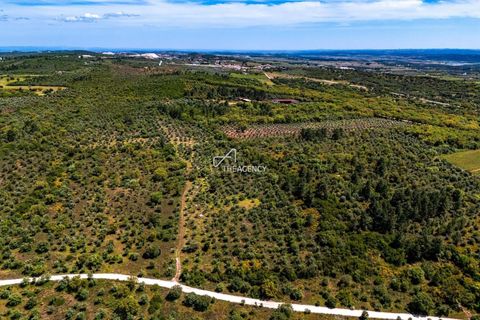 Terra a Borba, Evora, Borba - € 550.000 | Ref: TAPT01-1432_ABC_RC - foto 8