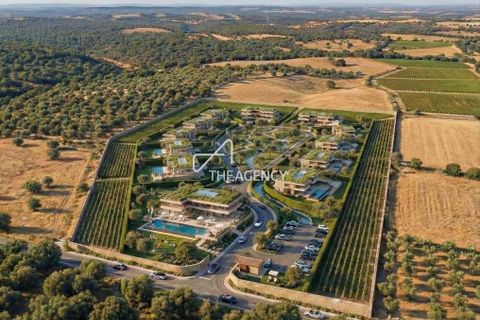 Terra a Borba, Evora, Borba - € 550.000 | Ref: TAPT01-1432_ABC_RC - foto 4