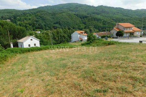 Terra a Seia, Guarda, Seia - € 59.000 | Ref: 382250063 - foto 2