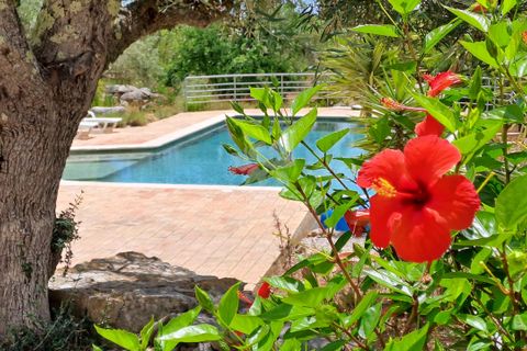 Villa i Tavira, Faro, Tavira - € 1.285.000 | Ref: HOME2428V - foto 30