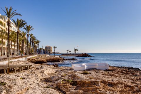 Leilighet i Torrevieja, Alicante, Torrevieja - € 599 990 | Ref: ER2-03672/866 - foto 37