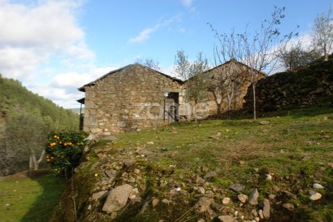 Farm i Sabrosa, Vila Real, Sabrosa - € 69.900 | Ref: ZMPT537847 - foto 1