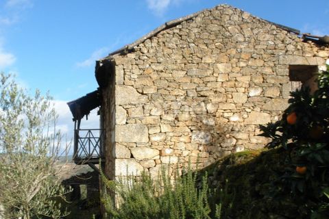 Farm i Sabrosa, Vila Real, Sabrosa - € 69.900 | Ref: ZMPT537847 - foto 3