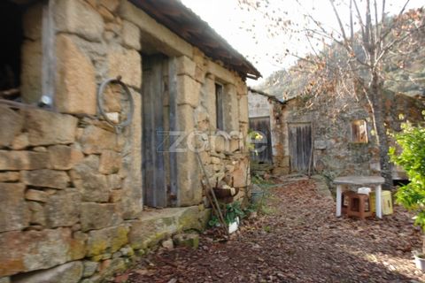 Farm i Sabrosa, Vila Real, Sabrosa - € 69.900 | Ref: ZMPT537847 - foto 4