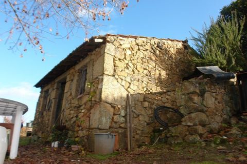 Farm i Sabrosa, Vila Real, Sabrosa - € 69.900 | Ref: ZMPT537847 - foto 6