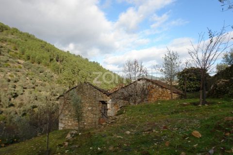 Farm i Sabrosa, Vila Real, Sabrosa - € 69.900 | Ref: ZMPT537847 - foto 7