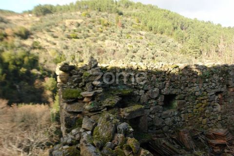 Farm i Sabrosa, Vila Real, Sabrosa - € 69.900 | Ref: ZMPT537847 - foto 8