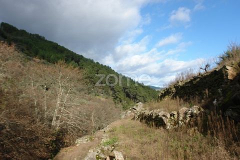 Farm i Sabrosa, Vila Real, Sabrosa - € 69.900 | Ref: ZMPT537847 - foto 9