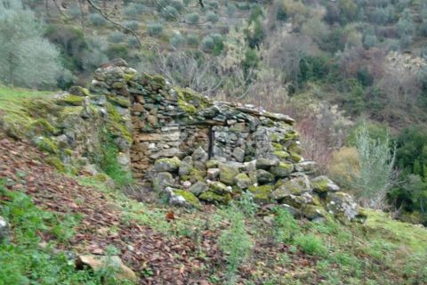 Farm i Sabrosa, Vila Real, Sabrosa - € 69.900 | Ref: ZMPT537847 - foto 11
