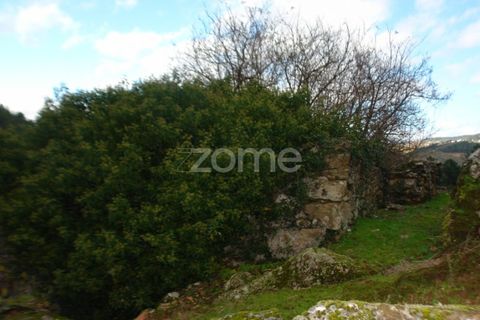 Farm i Sabrosa, Vila Real, Sabrosa - € 69.900 | Ref: ZMPT537847 - foto 13