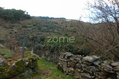 Farm i Sabrosa, Vila Real, Sabrosa - € 69.900 | Ref: ZMPT537847 - foto 14