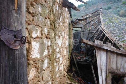 Farm i Sabrosa, Vila Real, Sabrosa - € 69.900 | Ref: ZMPT537847 - foto 16